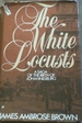 The White Locusts: a Saga of the Birth of Johannesburg