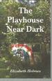 The Playhouse Near Dark (Carnegie Mellon Poetry Series)