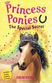 Princess Ponies: the Special Secret