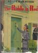 The Riddle in Red (Connie Blair Mystery#2)