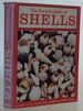 The Encyclopaedia of Shells