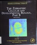 The Zebrafish: Cellular and Developmental Biology, Part B, Volume 101, Third Edition (Methods in Cell Biology)