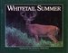 Whitetail (Whitetail) Summer (Seasons of the Whitetail, Book 4)
