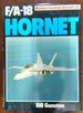 F-18 Hornet (Modern Combat Aircraft)