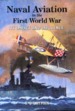 Naval Aviation in the First World War: Its Impact and Influence