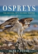 Ospreys