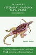 Veterinary Anatomy Flash Cards