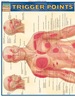 Trigger Points Reference Guide