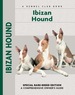 Ibizan Hound