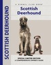 Scottish Deerhound