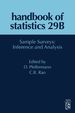 Handbook of Statistics_29b: Sample Surveys: Inference and Analysis