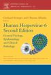 Human Herpesvirus-6: General Virology, Epidemiology, and Clinical Pathology
