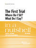 Goldberg and McCormack's the First Trial (Where Do I Sit? What Do I Say? ) in a Nutshell