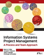 Information Systems Project Management: a Process and Team Approach