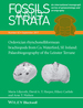 Ordovician Rhynchonelliformean Brachiopods From Co. Waterford, Se Ireland: Palaeobiogeography of the Leinster Terrane