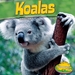 Koalas