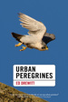 Urban Peregrines