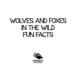 Wolves and Foxes in the Wild Fun Facts
