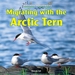 Migrating With the Arctic Tern