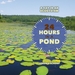 24 Hours in a Pond