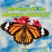 Migrating With the Monarch Butterfly