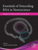 Essentials of Noncoding Rna in Neuroscience