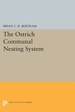 The Ostrich Communal Nesting System