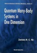 Quantum Many-Body Systems in One Dimension