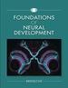 Foundations of Neural Development