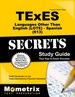 Texes Languages Other Than English (Lote)-Spanish (613) Secrets Study Guide