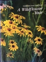 A Wildflower Year (Nebraskaland Magazine, Vol. 68, No. 1, january/February 1990)