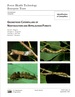 Geometroid Caterpillars of Northeastern and Appalachian Forests