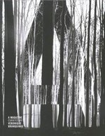 A Magazine # 6: Curated By Veronique Branquinho