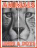 Animals Lines & Dots