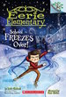 School Freezes Over! : a Branches Book (Eerie Elementary #5)