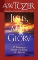 Jesus, Our Man in Glory: 12 Messages From the Book of Hebrews