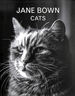 Jane Bown: Cats