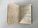 1914 Diary of a Teen Girl Whose Family Were Prominent Early Settlers in New York, Involved in the Suffragette Movement, Keenly Observant of Global Events