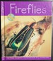 Fireflies (Insects)
