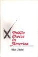 Public Choice in America (an Introduction to American Government)