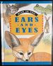 Ears and Eyes (Head to Tail)