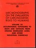 Occupational Exposures to Mists and Vapours From Strong Inorganic Acids; and Other Industrial Chemicals (Iarc Monographs on the Evaluation of the Carcinogenic Risks to Humans: Volume 54))