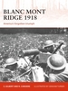 Blanc Mont Ridge 1918: America's Forgotten Victory