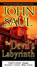 The Devil's Labyrinth: a Novel