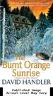 The Burnt Orange Sunrise: a Berger and Mitry Mystery (Berger and Mitry Mysteries)