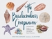 The Beachcomber's Companion: An Illustrated Guide to Collecting and Identifying Beach Treasures