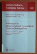 Advances in Structural and Syntactical Pattern Recognition: 6th International Workshop, Sspr' 96, Leipzig, Germany, August, 20-23, 1996, Proceedings (Lecture Notes in Computer Science)