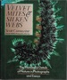 Velvet Mites and Silken Webs: the Wonderful Details of Nature in Photographs and Essays (Wiley Science Editions)