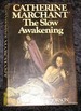 The Slow Awakening