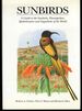 Sunbirds: a Guide to the Sunbirds, Spiderhunters, Sugarbirds and Flowerpeckers of the World